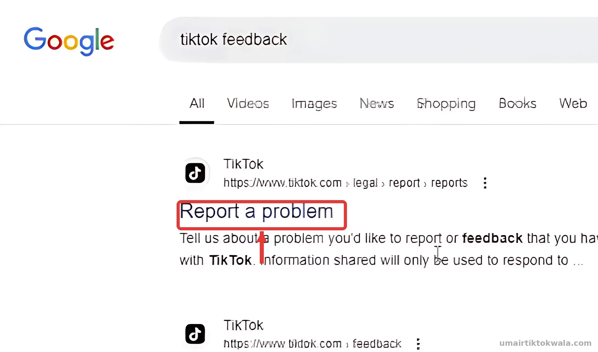 Step 1: Open TikTok's "Report a problem" form